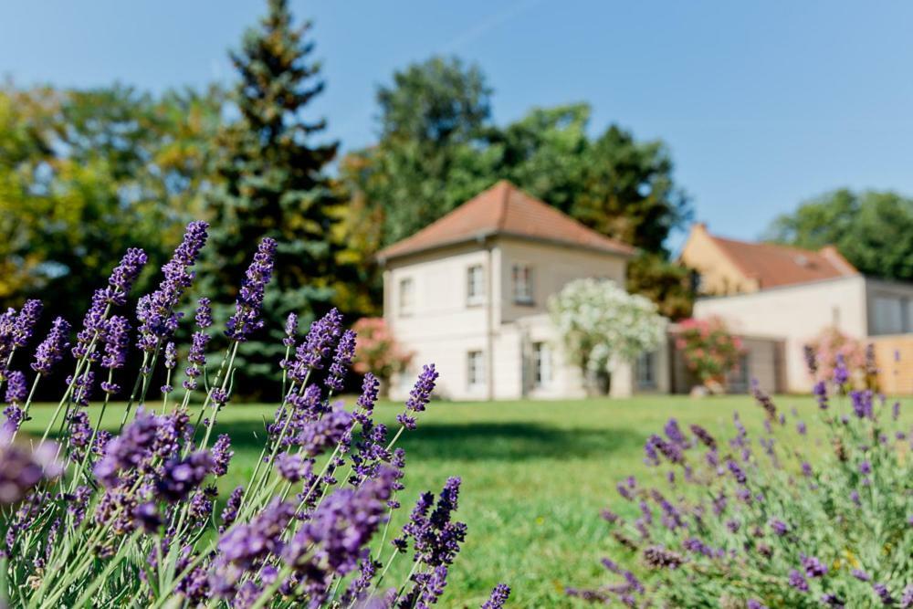 Landhaus Am Jungfernsee Potsdam Esterno foto